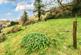 Additional image 10 of Muddiford, Barnstaple, Devon, EX31