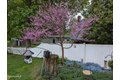 Additional image 46 of 135 Allengate Ave, Pittsfield, MA, 01201
