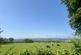 Additional image 45 of Llanllwni, Pencader, SA39