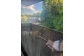 Additional image 12 of 530 Washington St Apt 22, Boston, MA, 02135