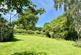 Additional image 6 of Shobley, Ringwood, BH24 3HT