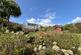 Additional image 50 of Mingulay, Whiting Bay, Isle Of Arran