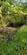 Additional image 43 of Cookbury, Holsworthy, Devon, EX22