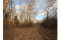 Additional image 22 of Benson, Victor, NY, 14564