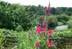 Additional image 17 of Llanfihangel-ar-Arth, Ceredigion SA39