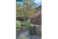 Additional image 3 of 304 Livorna Heights Rd, Alamo, CA, 94507