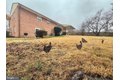 Additional image 53 of 13220 Ronehill Dr, Beltsville, MD, 20705