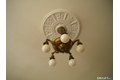 Additional image 17 of 382 Whitney Ave, New Haven, CT, 06511