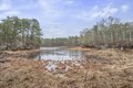 Additional image 30 of 1157 Orleans-Harwich Rd, Harwich, MA, 02645