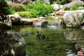 Additional image 2 of 4 Streamwood, Irvine, CA, 92620