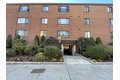 222 Babcock St Apt 1C, Brookline, MA, 02446