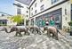 Additional image 7 of Livery Street, Leamington Spa