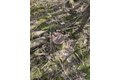Canton St, Warners, NY, 13164 photo 4