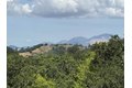 Additional image 57 of 78 Scenic Dr, Orinda, CA, 94563