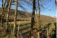 Additional image 35 of Heathcote, Gilwern, Abergavenny