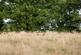 Additional image 44 of Cofton Church Lane, Cofton Hackett