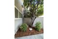 Additional image 28 of 283 S El Molino Ave Apt 7, Pasadena, CA, 91101