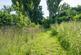 Additional image 16 of Mancroft Road, Aley Green, LU1