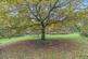 Additional image 36 of Cot Hill, Llanwern, NP18
