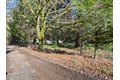 11846 Lewis River Rd, Ariel, WA, 98603 photo 3
