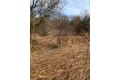 Canton St, Warners, NY, 13164 photo 5