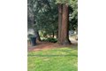 Additional image 17 of 4059 Ridge St, Fair Oaks, CA, 95628