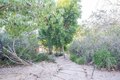 Additional image 36 of 4430 Rosebank Dr, La Canada Flintridge, CA, 91011