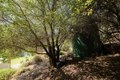 Additional image 98 of 225 Nelson Rd, Scotts Valley, CA, 95066
