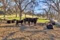 Additional image 20 of 23443 Corino Way, Grass Valley, CA, 95949