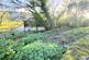 Additional image 22 of Bryn Melyn Cottage, Llanelltyd, Dolgellau