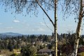 Additional image 16 of 7508 56th Ave NE, Seattle, WA, 98115