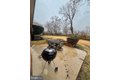 Additional image 51 of 13220 Ronehill Dr, Beltsville, MD, 20705