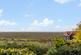 Additional image 22 of Dumont Avenue, St. Osyth, Clacton-on-Sea
