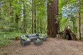 Additional image 31 of 290 Hoot Owl Way, Boulder Creek, CA, 95006