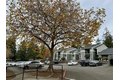 Additional image 33 of 10820 SE 211th Pl, Kent, WA, 98031