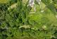 Additional image 33 of Cookbury, Holsworthy, Devon, EX22