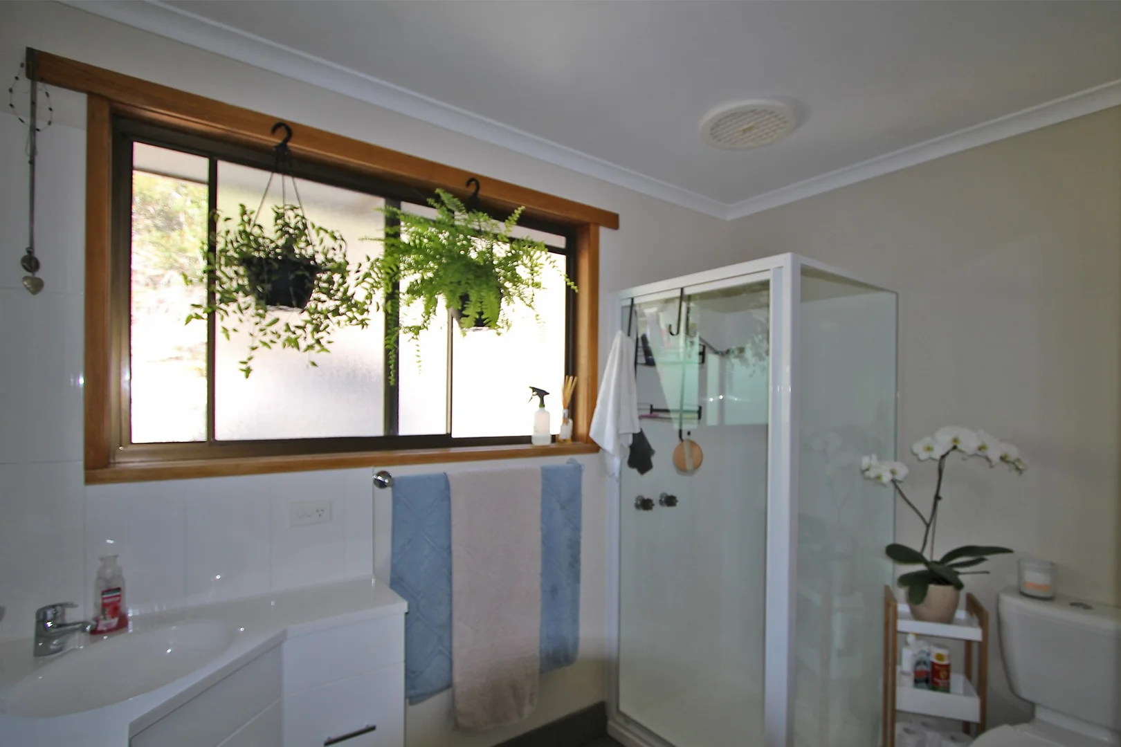 Additional image 8 of 174 Manuka Road, Oyster Cove TAS 7150