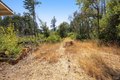 Additional image 47 of 3880 Spring Mountain Rd, Saint Helena, CA, 94574