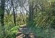 Additional image 39 of Cookbury Court, Cookbury, Holsworthy, Devon, EX22