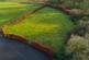 Additional image 34 of Wilderness Brae, Cumbernauld G67