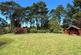 Additional image 3 of Oaks Drive, St. Leonards, BH24 2QS