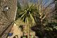 Additional image 15 of Old Lees Road, Hebden Bridge HX7