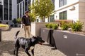 Additional image 17 of 1 Bristol Ct Apt 202, San Francisco, CA, 94130