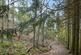 Additional image 3 of Coed Pen Y Bont (almost 11 and a half acres), Tal-y-Llyn, Tywyn, Gwynedd LL36