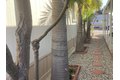 Additional image 7 of 1001 W Lambert Rd Spc 219, La Habra, CA, 90631