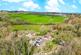 Additional image 31 of Sutton Wood, Shifnal, TF11