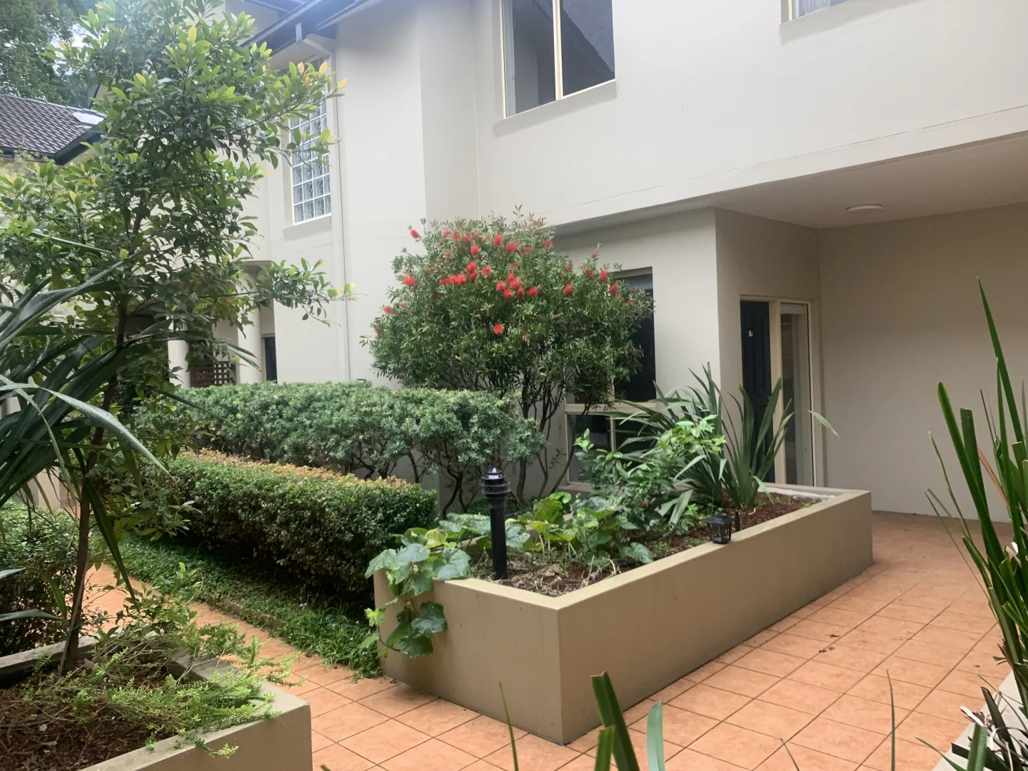 4/159 Perouse Road, Randwick NSW 2031 photo 5