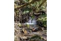 Additional image 5 of 21502 NE 269th St, Battle Ground, WA, 98604