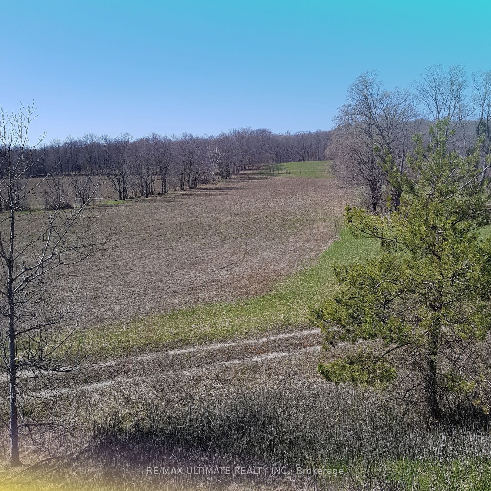 Additional image 3 of 1024 Old Barrie Road, Oro-medonte, ON, L0L 2L0