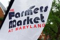 Additional image 26 of 9122 Baltimore Ave, College Park, MD, 20740